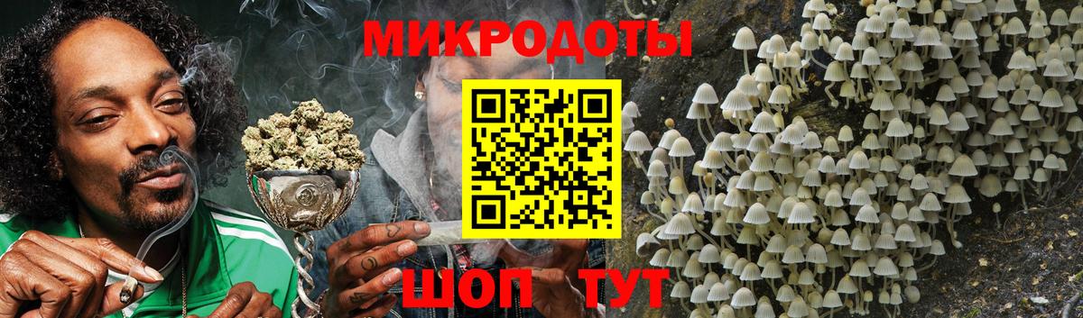 Галлюциногенные грибы Psilocybine cubensis Электросталь