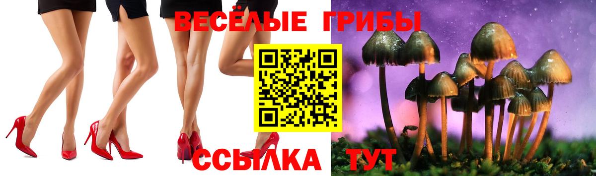 Электросталь  Псилоцибиновые грибы ЛСД  наркошоп  Вход с VPN  Галлюциногенные грибы Psilocybe 